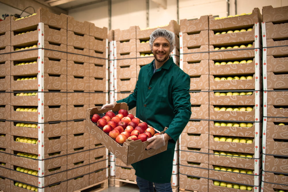 Portrait d'un ouvrier tenant une caisse remplie de pommes rouges